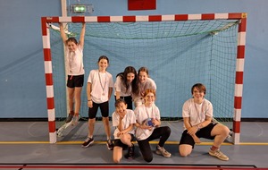 Hand Ball Championnat Interdistrict