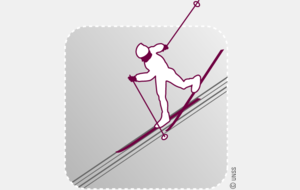 championnat de France UNSS ski nordique