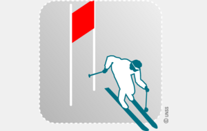Championnat Départemental ski alpin benjamin excellence