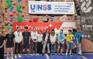 Championnats de France d'Escalade