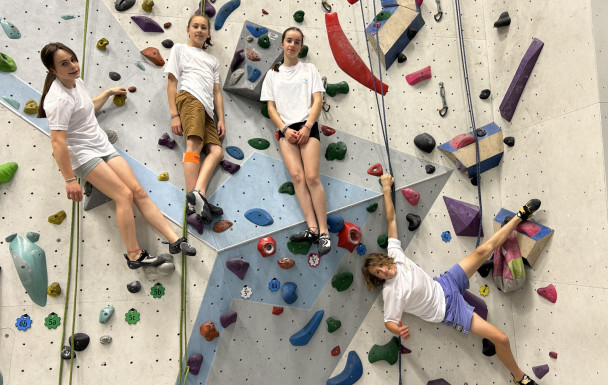 Championnat de France d'escalade